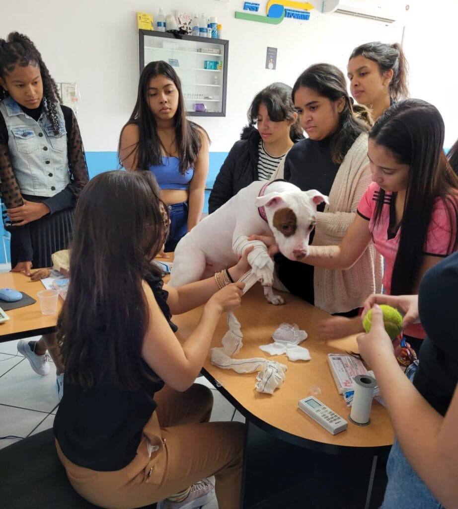 Alunos do curso de Auxiliar Veterinário
