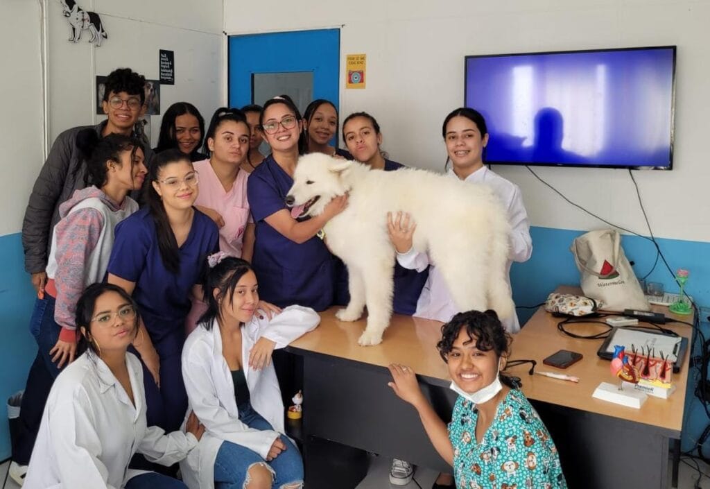 Alunos do curso de Auxiliar Veterinário