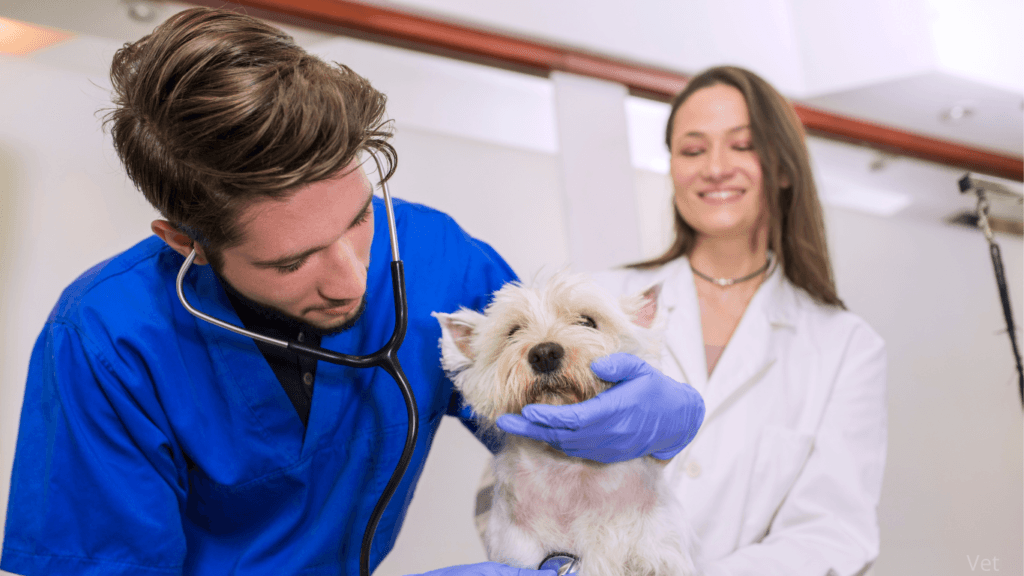 Medicina Veterinária