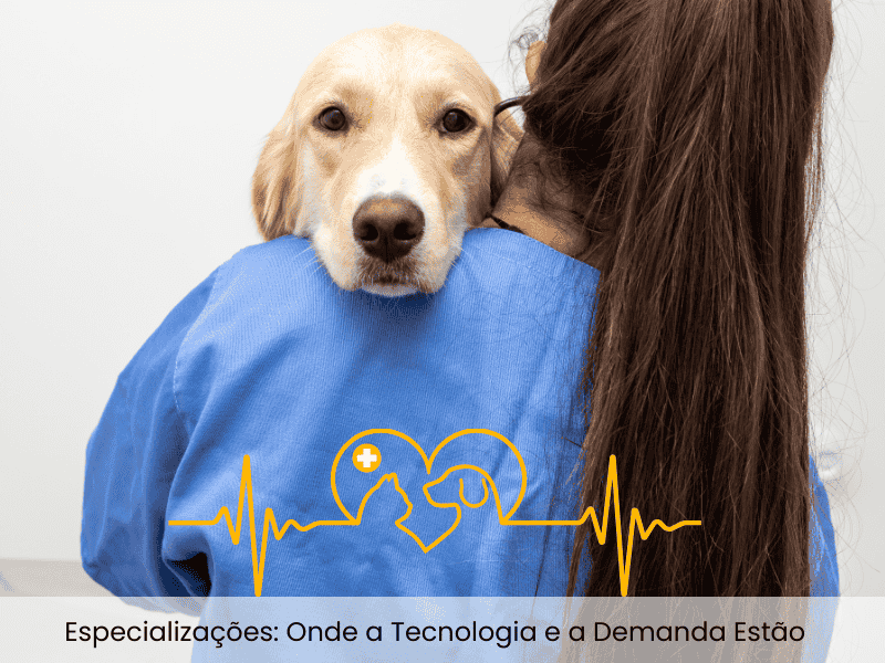 Especialidades mais procuradas hoje em medicina veterinária: Cardiologia, Oftalmologia, Dermatologia, Oncologia e Neurologia